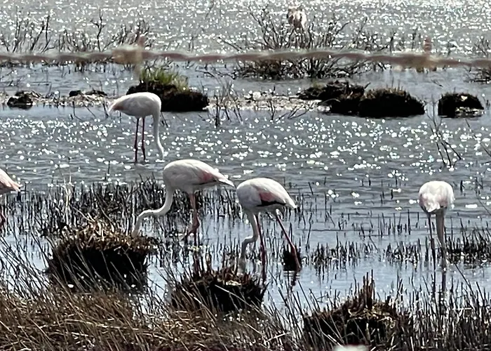 Valentina Apartmán Alvor