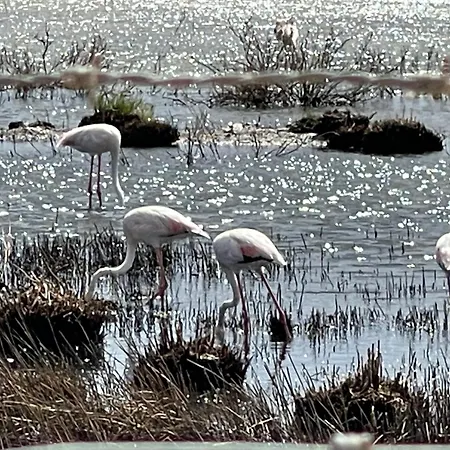 Valentina Apartment Alvor