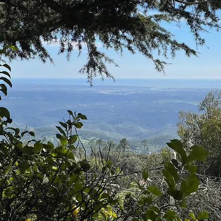 Valentina Διαμέρισμα *