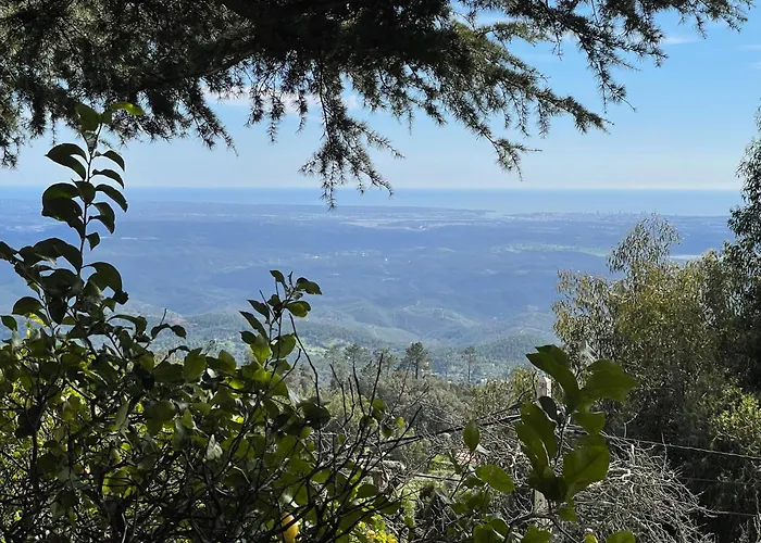 Valentina Apartament *